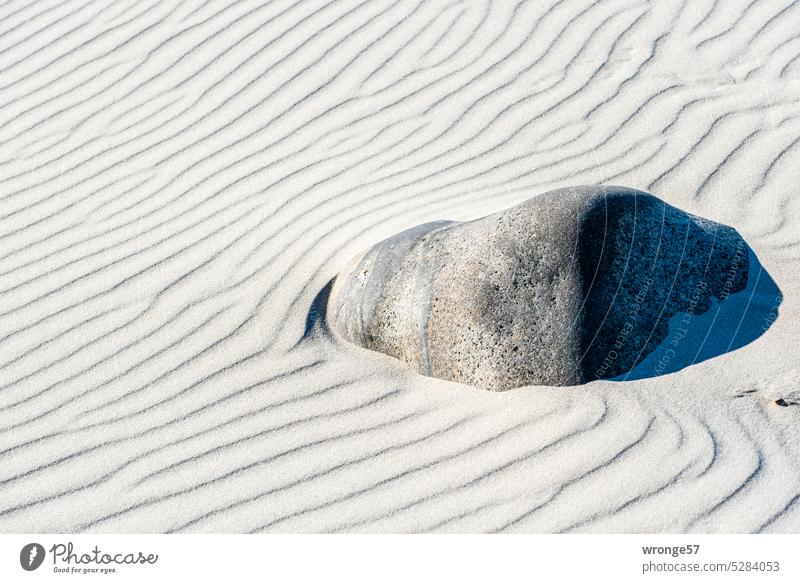 A large stone lies on a sandy beach full of ripple marks Baltic Sea Sand stones Beach Baltic beach Baltic coast Nature Ocean Vacation & Travel wind ripple