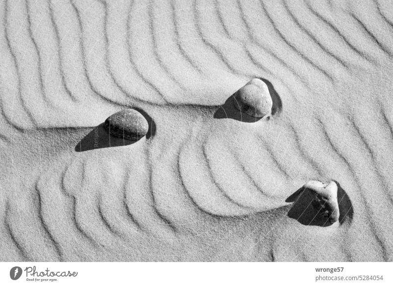 Three stones lie on a sandy beach full of ripple marks Baltic Sea Sand Beach Baltic beach Baltic coast Nature Ocean Vacation & Travel wind ripple Ripple marks