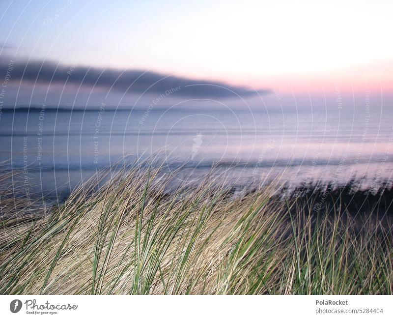 #A0# Flashback Beach duene Walk on the beach camera flash Trashy trash Ocean coast Exterior shot Nature Marram grass