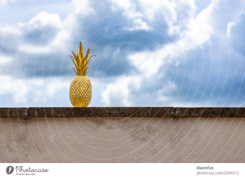 MainFux | golden pineapple🍍 Pineapple Fruit Food Healthy Wall (barrier) Juicy Nutrition Delicious Fresh naturally Organic Exotic cute Mature Vitamin Tropical