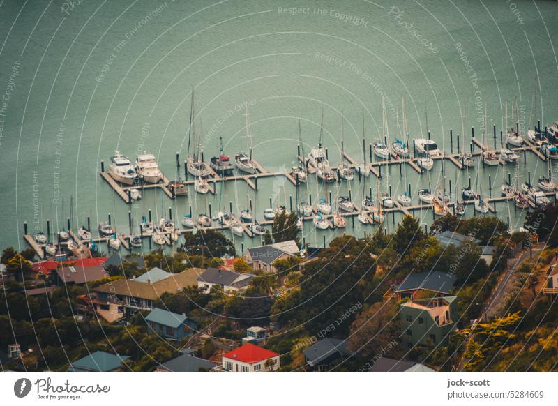 Bird's eye view of boat mooring in natural harbor Boat landing natural harbour Jetty Watercraft Sailboat Harbour coast Slope houses Bird's-eye view Lyttelton