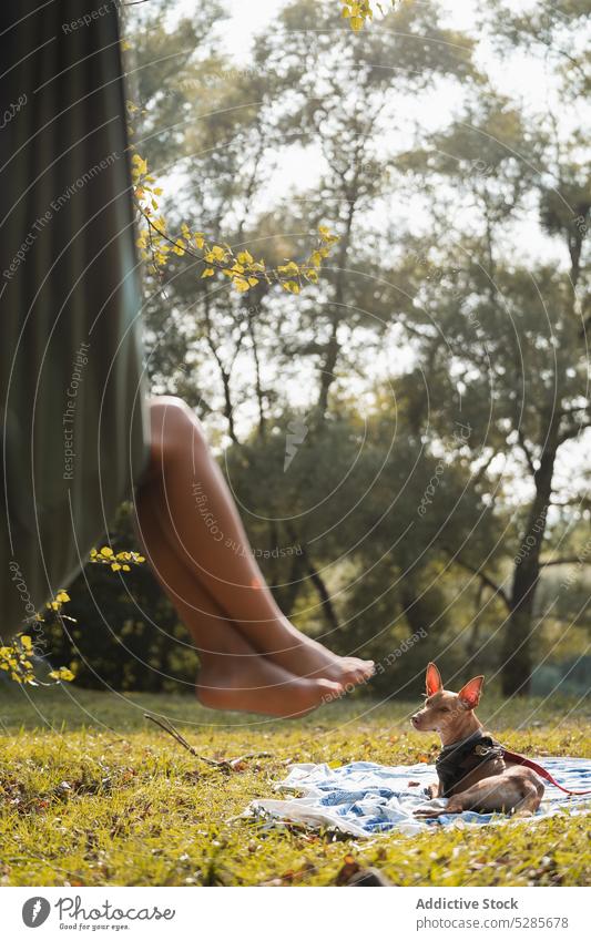 Anonymous woman lying in hammock near dog in park forest nature weekend owner female pet obedient sun basenji daytime summer relax canine together calm animal