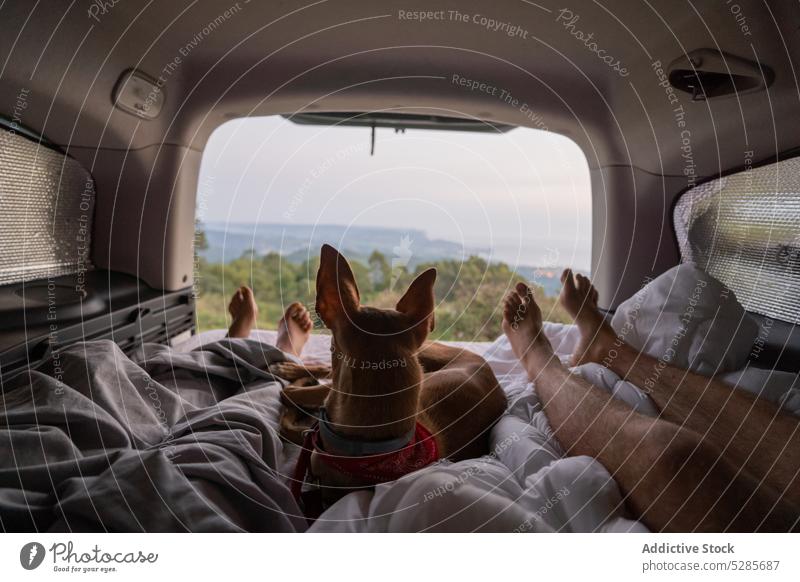 Crop couple lying on mattress in car with dog rest relax chill pet traveler sunset view together friend picturesque companion nature animal obedient basenji