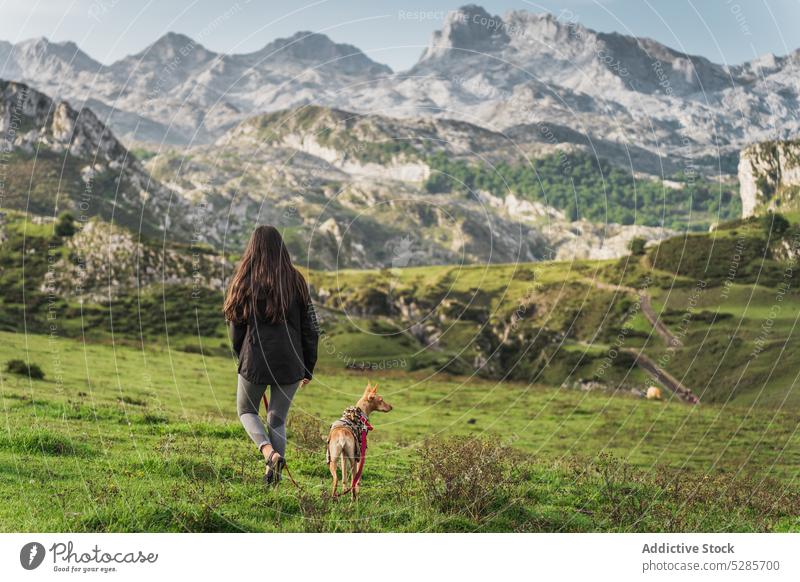 Unrecognizable woman walking with dog in mountains owner traveler highland hill ridge pet nature adventure majestic landscape journey range explore female