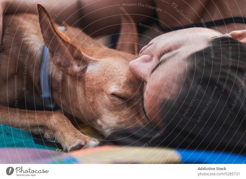 Young Hispanic lady with dog sleeping on blanket on lawn woman picnic together owner podenco andaluz friend eyes closed relax nap summer female young hispanic