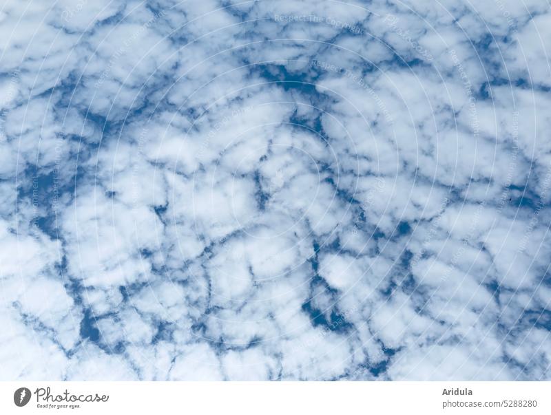 Blue sky with absorbent cotton clouds - a Royalty Free Stock Photo from  Photocase