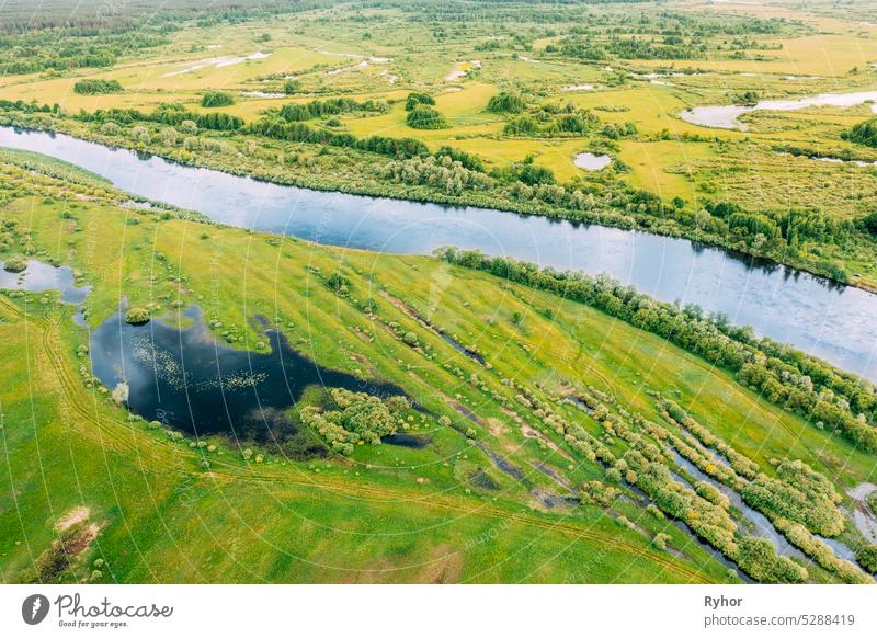 Aerial View. Green Forest, Meadow And River Marsh Landscape In Summer. Top View Of European Nature From High Attitude In Spring. Bird's Eye View Of Flood Of River In Spring