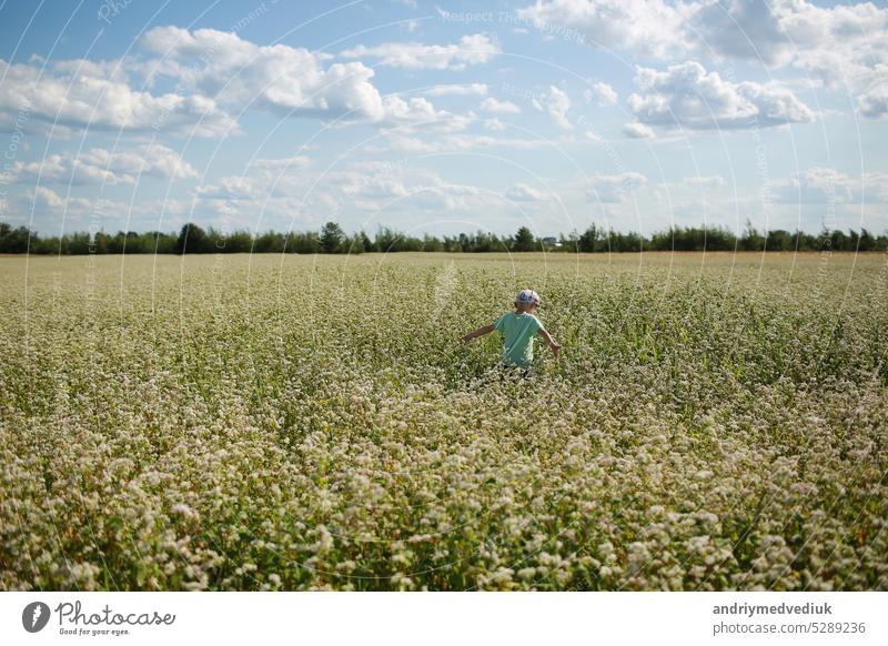 Happy joyful boy is playing on flowery meadow. Child having fun in field outdoors. Summer, vacation, childhood concept. nature happy summer children freedom