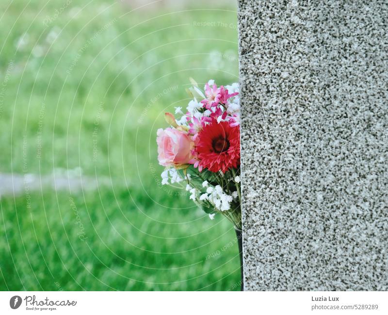 Spring in the cemetery, a fresh bouquet of flowers peeks out from behind a tombstone Cemetery Death Transience Green flower decoration Grave Tombstone Gray Pink