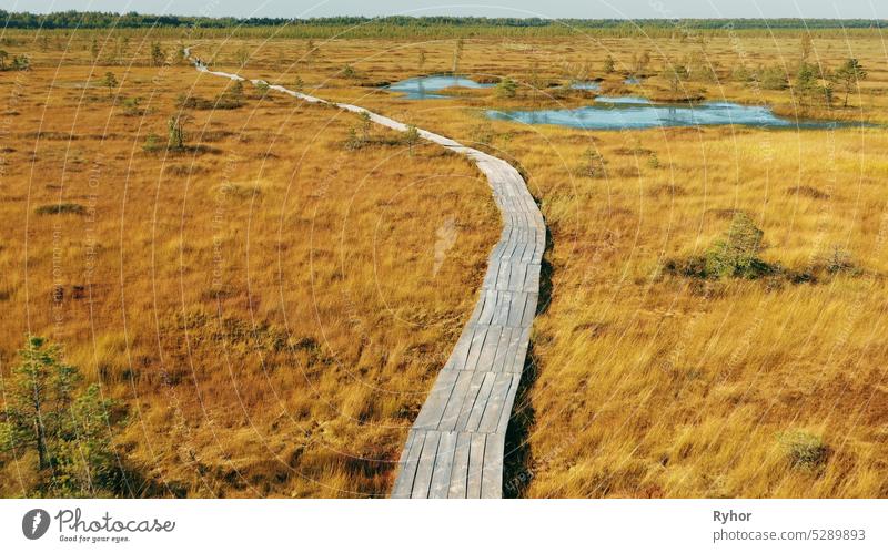 Miory District, Vitebsk Region, Belarus. The Yelnya Swamp. Upland And Transitional Bogs With Numerous Lakes. Elevated Aerial View Of Yelnya Nature Reserve Landscape. Famous Natural Landmark. Aerial Bird's-eye View Of Wooden path way pathway from marsh s...