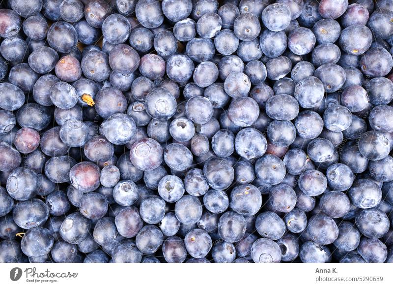 Superfood blueberry Blueberry Vaccinium myrtillus Berries Fruit Background picture Wallpapers Fresh cute Organic salubriously Delicious Juicy Fruity Mature