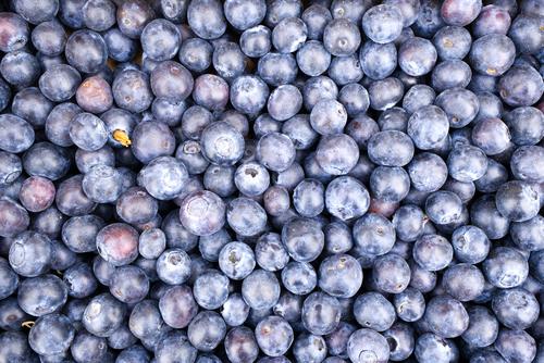 Superfood blueberry Blueberry Vaccinium myrtillus Berries Fruit Background picture Wallpapers Fresh cute Organic salubriously Delicious Juicy Fruity Mature