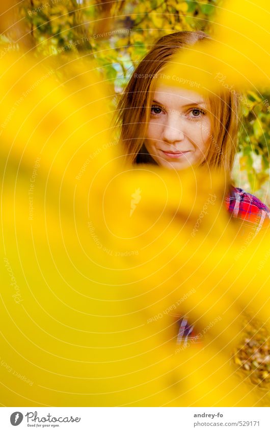 Autumn Portrait Feminine Young woman Youth (Young adults) Woman Adults Head Face 1 Human being 13 - 18 years Child 18 - 30 years Leaf Red-haired Looking