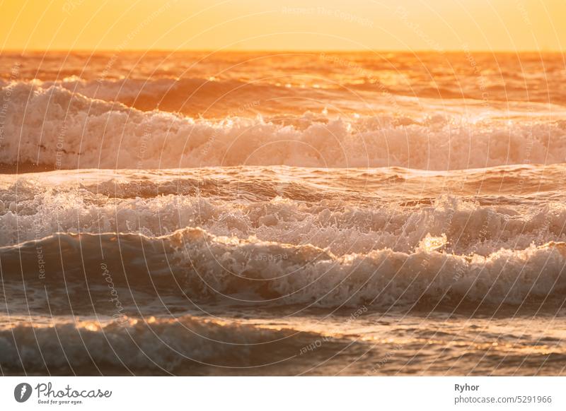 Sea water surface at sunset. Natural sunrise warm colors of ocean. Sea ocean water surface with foaming small waves at sunset. Evening sunlight sunshine above sea. Amazing landscape scenery. Nature background