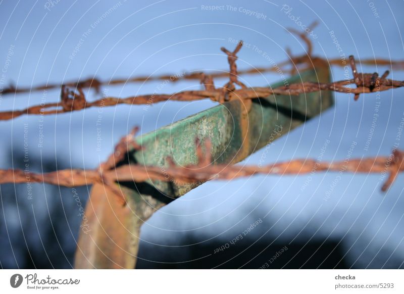 barbed wire fence Fence Wire Barbed wire Border Industry Rust