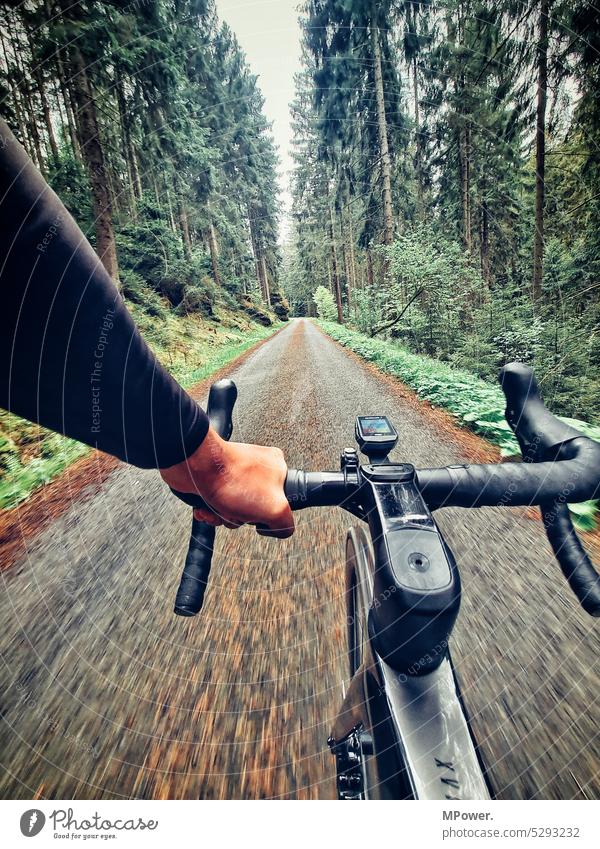 roadbiking Cycling Racing cycle Handlebars Sports leisure Forest gravel gravelbike swift forest path In transit Nature tempo Bicycle Movement Transport Speed
