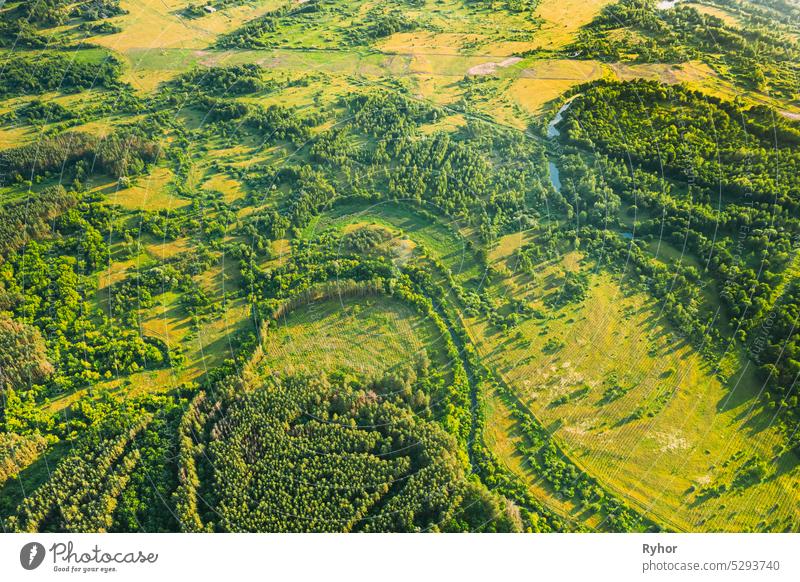 Aerial View Green Forest Deforestation Area Landscape. Top View Of New Growing Forest. European Nature From High Attitude In Summer Season. Drone View. Bird's Eye View