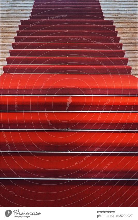 Red carpet Carpet Stairs Event Colour photo Deserted Receive Luxury Success Central perspective Feasts & Celebrations Lifestyle Shows Elegant stagger