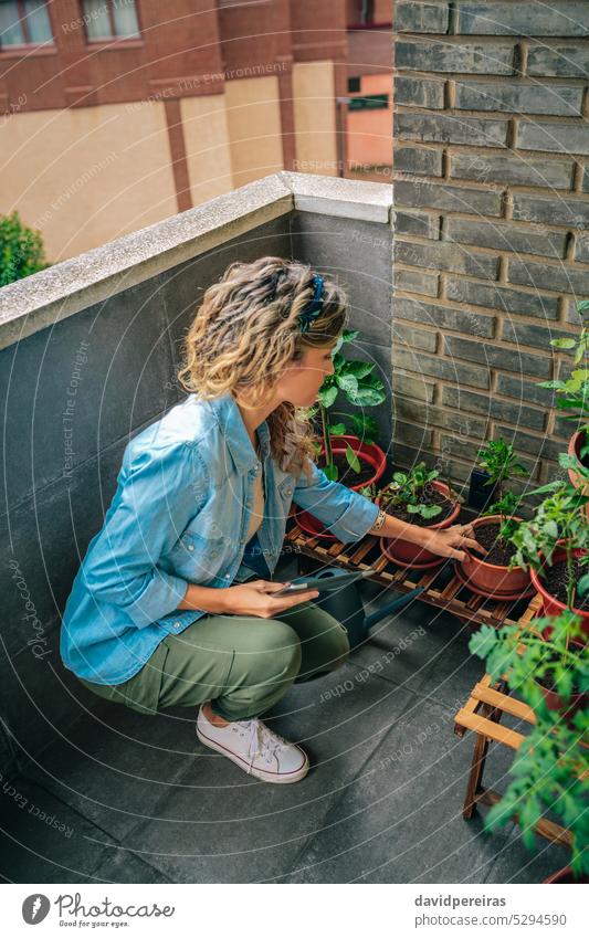Woman checking plants of urban garden on terrace while holding digital tablet in hand woman female gardener rooftop leaf gardening apartment residential working