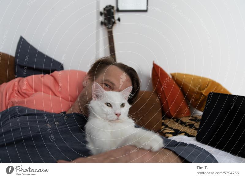 Man with hangover in arm White tomcat Cat Sofa Pet Animal Pelt Domestic cat Animal portrait Observe Cute Looking Cuddly Cat's head Animal face Curiosity