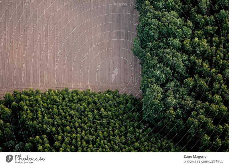 Aerial view on forest and agriculture land, deforestation deforestation zone nature environment wood tree landscape ecology outdoor forestry green resource