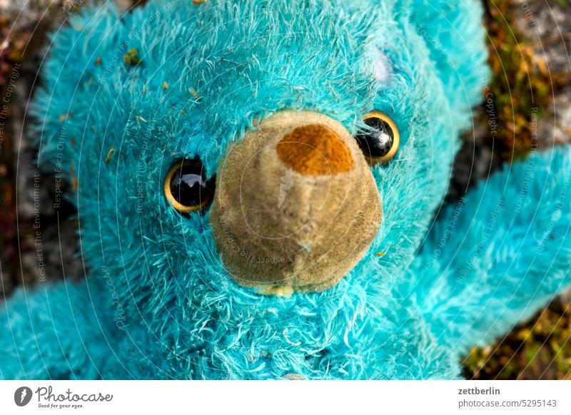 cuddly toy Blue bluebear Looking eye contact Bear found Face Contact Lie soft toy game Toys teddy Teddy bear Animal sad Doomed loss portrait Eyes