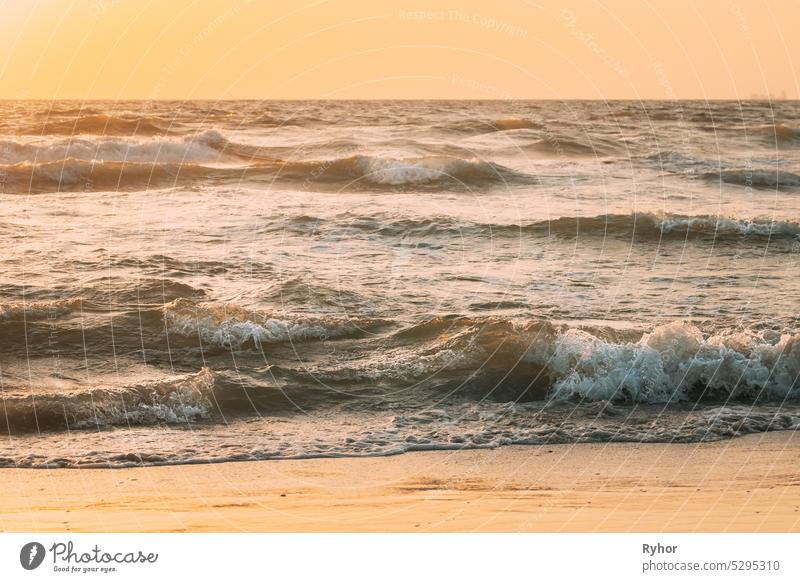 Sea ocean water surface with foaming small waves at sunset. Evening sunlight sunshine above sea. Ocean water foam splashes washing sandy beach. Crashing waves of sandy coastline. Natural sunset sky warm colors. Amazing landscape scenery. Copy space. Nat...