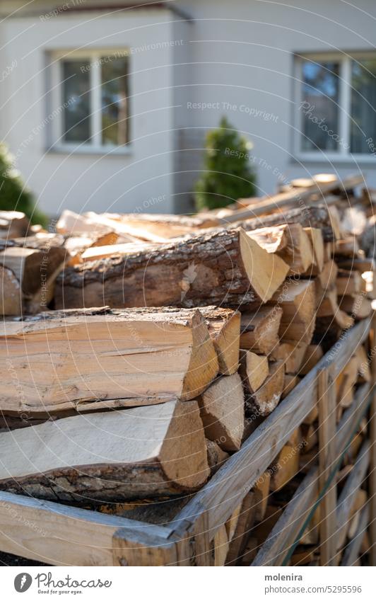 Pallet with firewood on private backyard fuel pallet house stack supply stock sunny day spring window courtyard log