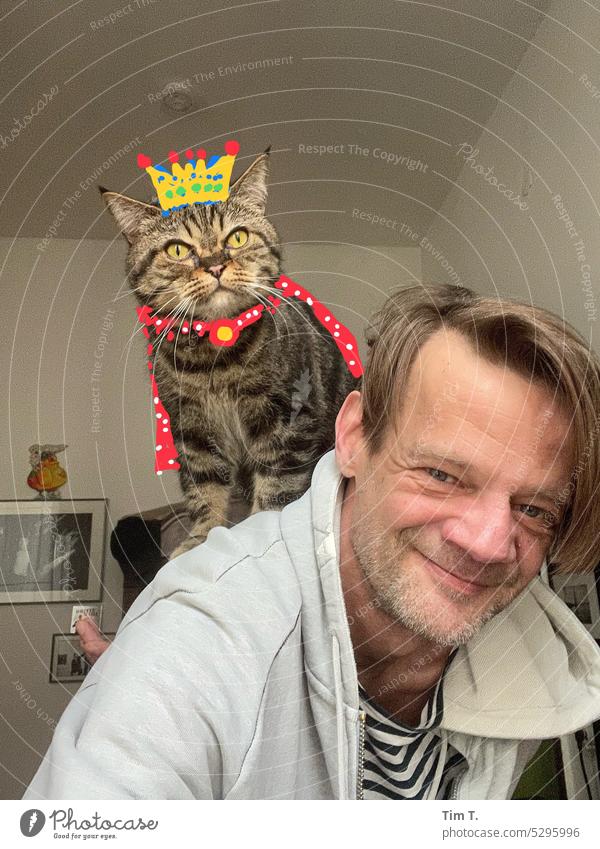 King cat on the shoulder of his servant hangover Crown Colour photo Human being Happy Animal pretty Animal portrait Cute Pet Funny Pelt Cat Domestic cat Looking