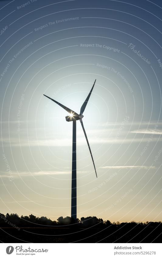 Wind turbines on field at sunset silhouette wind sundown nature countryside alternative energy cloudless sky tower sustainable efficient generator ecology power