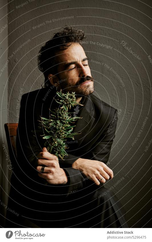 Bearded man smelling marijuana plant in dark room legs crossed eyes closed aromatic decorative wooden chair enjoy male art cement texture growth wall creative