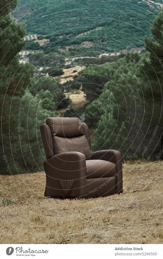Leather armchair against trees in nature scenery picturesque grass ground landscape environment sun cloudless grassy countryside peaceful idyllic scenic serene