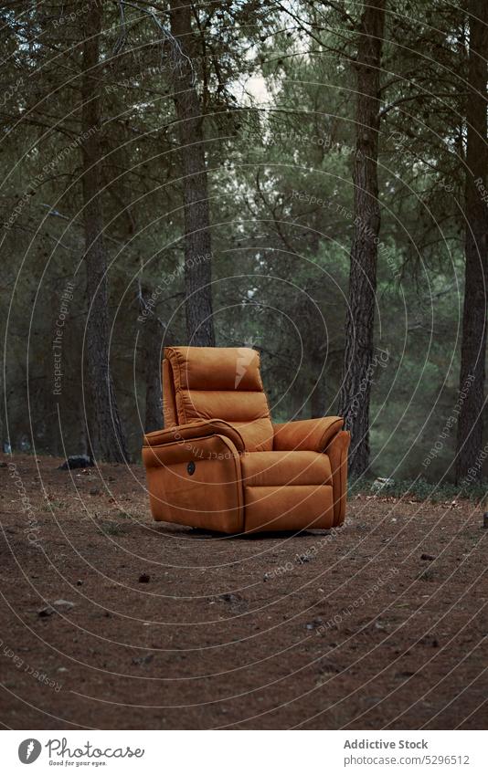 Comfortable orange armchair in forest tree nature woods evening environment ground bright countryside plant scenic flora tranquil sunset colorful dusk woodland