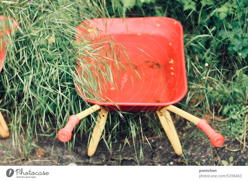 a small red wheelbarrow for children full of rainwater. gardening. children's game. Wheelbarrow Toys Gardening Rainwater grasses Green Nature Plant