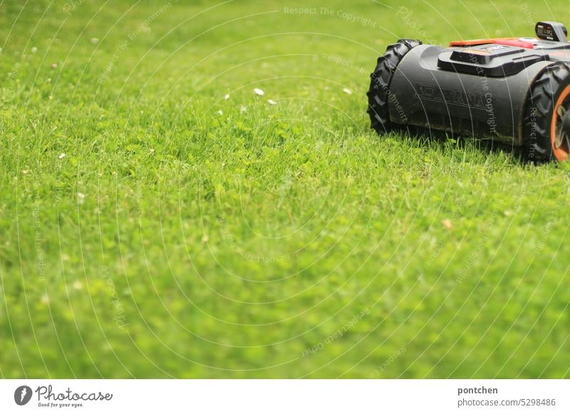 a robotic lawn mower drives over a green lawn, meadow. Progress, technology, relief. Gardening Robot Mow the lawn technique Advancement robotic lawnmower Meadow