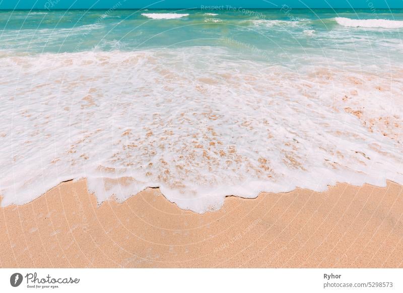 Ocean water foam splashes washing sandy beach. Amazing landscape scenery. Crashing waves of sandy coastline. Sea ocean water surface with small waves. Beautiful background with copy space. Nature background