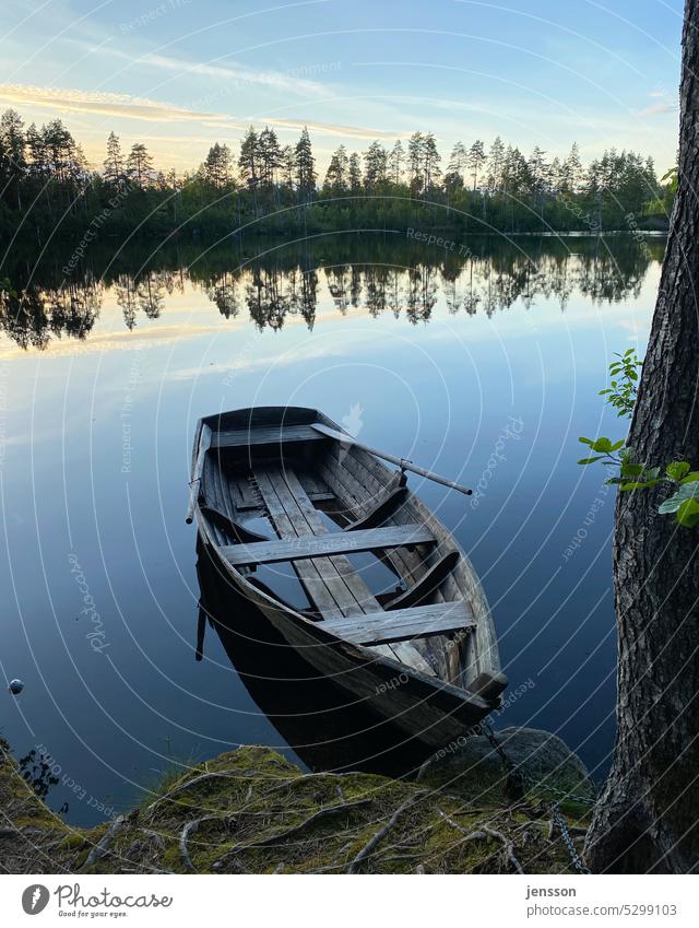 Rowing boat on a lake in Sweden in the evening light Scandinavia Lake Summer evening mood Evening Dusk quiet in the evening Summer vacation Summery Rowboat