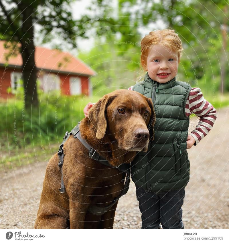Little girl with brown Labrador Labrador retriever Dog Child Girl red hair Brown Swedish house Swedish red Swede out dog love Dog and man Dog and master Pet