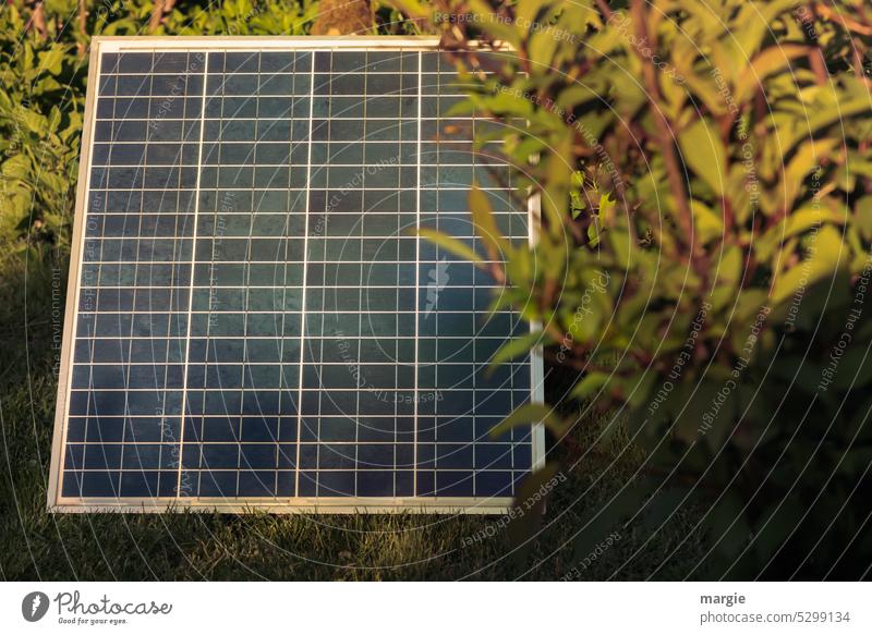 Solar panel in garden solar Renewable energy Solar Power Environmental protection Energy industry Energy generation Energy efficiency photovoltaics Solar Energy