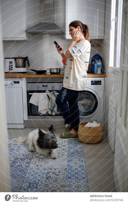 Young woman with dog and phone in kitchen at home lifestyle small chore using weekend smartphone domestic counter rest laundry interior device gadget mobile pet
