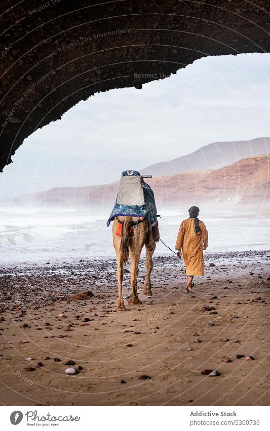 Unrecognizable woman walking with camel on beach sand sea coast summer wave shore water nature travel vacation mauritania sahara female dress ocean animal trip