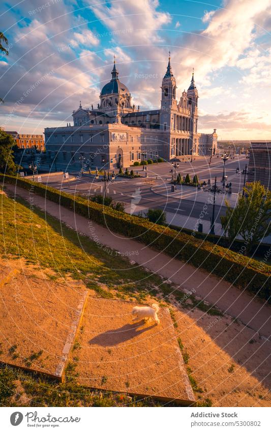 Majestic cathedral in sunset time architecture church city catholic sightseeing cityscape landmark historic sundown almudena cathedral sky madrid spain building
