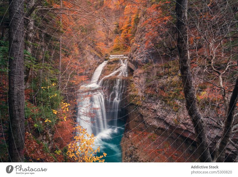 Waterfall in mountains with autumn trees waterfall flow rock cliff slope power nature ordesa pyrenees of huesca spain europe park grow rocky season botany