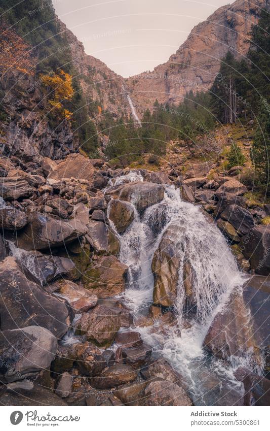 Rapid stream flowing through rocks between autumn trees creek water rocky mountain power nature ordesa pyrenees of huesca europe spain grow motion untouched