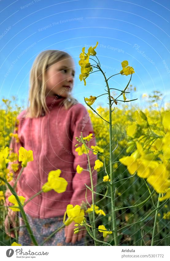 Girl standing in rape field Canola field Oilseed rape flower Yellow flowers Oilseed rape cultivation Field Agricultural crop Agriculture Spring Blossom Sky