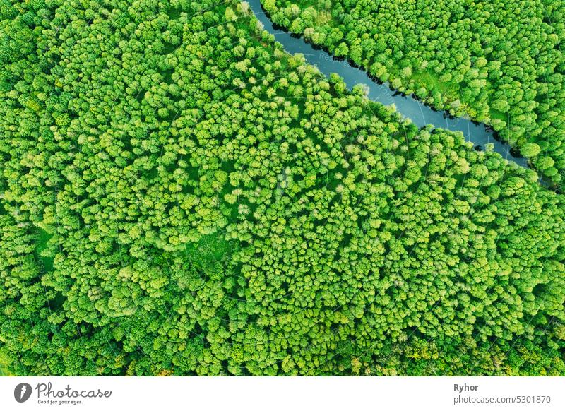 green forest greenery vegetaion and river, flat view aerial. Green forest And River Landscape In Top View Beautiful Nature Summer Season background aerial view