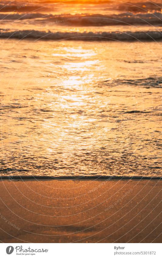 Sunset sunlight above sea. Sea ocean water warm colors. Ripple sea ocean water foam washing sandy beach at sunset. Sea ocean water surface with small waves at sunset. Amazing landscape scenery. Copy space. Nature background. Vertical photo