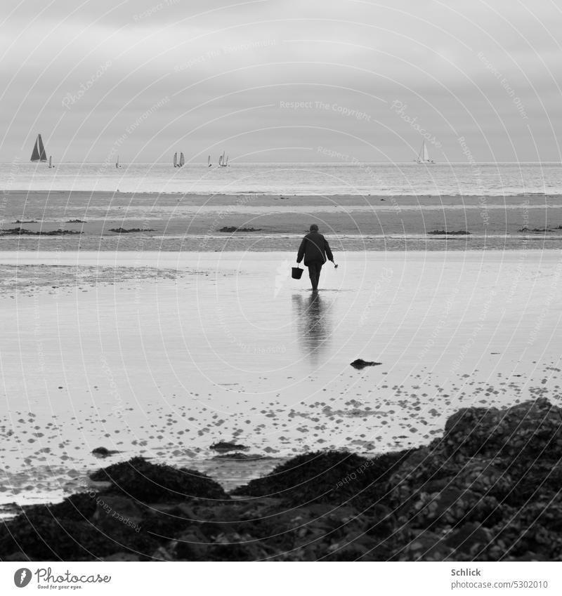Brittany peche a pied Tideland fishing Human being Bucket Ocean sailing ships Horizon Sky Black & white photo Exterior shot Landscape Water watt Low tide