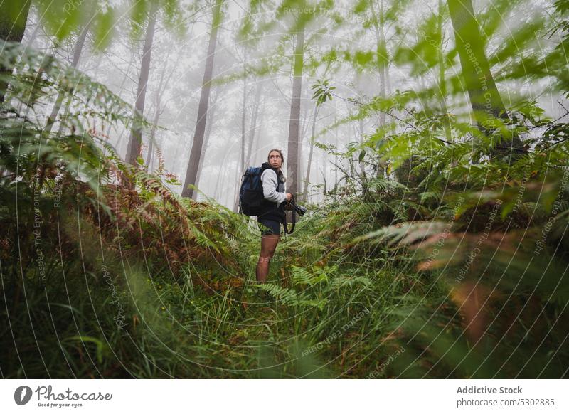 Female travel photographer standing in tropical forest woman photo camera traveler backpacker fog tall coniferous tree mist female young growth peaceful flora