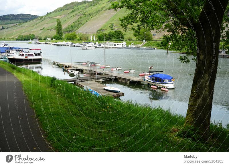 Boats and yachts in marina on Moselle river between vineyards in Traben-Trarbach in Rhineland-Palatinate in Germany Harbour boat ship jetty Footbridge Jetty